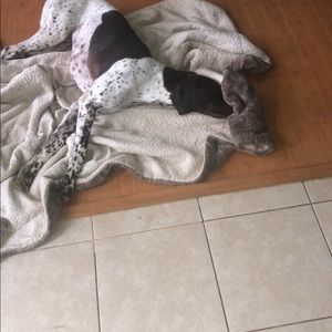 Meet your Posher, Faith